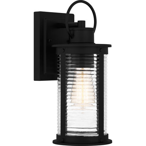 Tilmore 1 Light 5.5 inch Matte Black Outdoor Lantern, Small