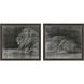 Lion Black and Gray and Metallic and Neutral Framed Art