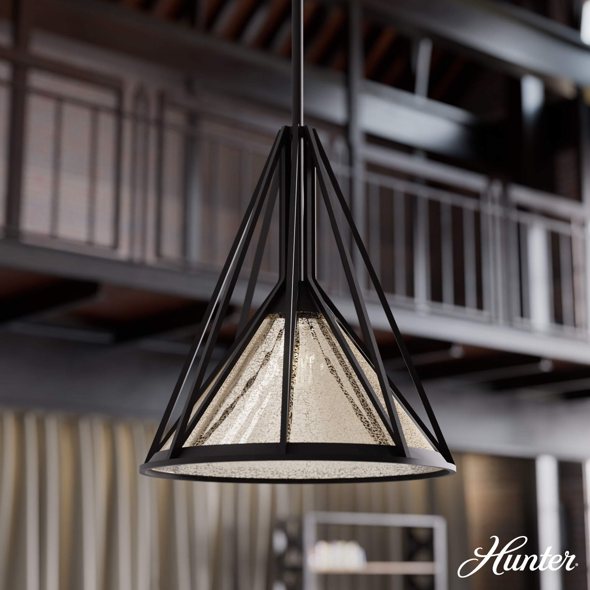 Rafner 1 Light 13 inch Natural Black Iron Pendant Ceiling Light, Medium