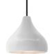 Radiance 1 Light 11.5 inch Bisque and Matte Black Pendant Ceiling Light