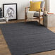 Hickory 90 X 60 inch Charcoal Rug, Rectangle