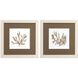 Waterside Collection Brown Framed Art