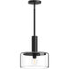 Royale 1 Light 10 inch Matte Black Pendant Ceiling Light