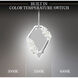 Forever Embelish LED 4.5 inch Polished Chrome with Silver Rope Mini-Pendant Ceiling Light, Silver Rope