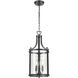 Niagara Special Edition 3 Light 10.5 inch Ebony Foyer Ceiling Light
