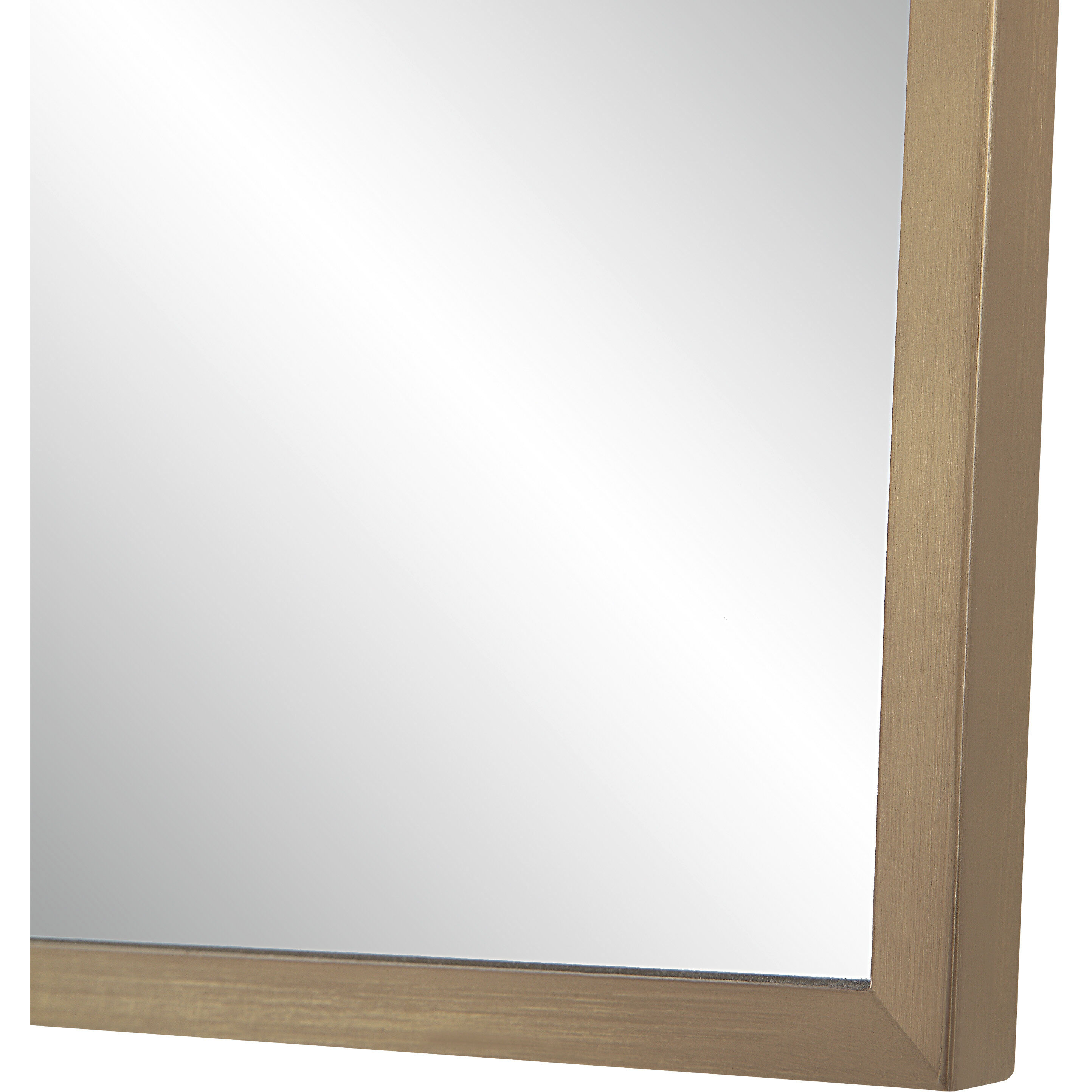 Brigid 36 X 24 inch Burnished Brass Wall Mirror