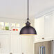 Madison 1 Light 9 inch Oil Rubbed Bronze Pendant Light Ceiling Light
