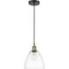 Edison Dome 1 Light 9 inch Black Antique Brass Mini Pendant Ceiling Light in Clear Glass