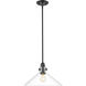 Dwyer 1 Light 15 inch Matte Black Pendant Ceiling Light