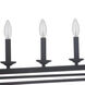 Flynt Island Light Ceiling Light, Neighborhood Collection