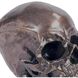 Skull 6.25 X 5 inch Sculpture