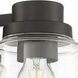 Universal LED Flat Black Fan Light Kit in Clear Glass