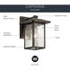 Capanna 1 Light 10 inch Olde Bronze Outdoor Wall, Small