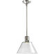 Zigrina 1 Light 11.75 inch Polished Nickel Pendant Ceiling Light