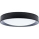 Selene LED 16.61 inch Black Flush Mount Ceiling Light