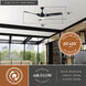 Austin 21.42 inch Black and Chrome with Black Blades Ceiling Fan