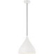 Oden 1 Light 14 inch Matte White Pendant Ceiling Light