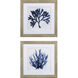 Indigo Coral Blue Framed Art