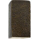 Ambiance LED 9.5 inch Hammered Brass Outdoor Wall Sconce