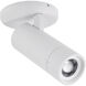 Brentwood LED 4.6 inch Matte White Flush Mount Ceiling Light