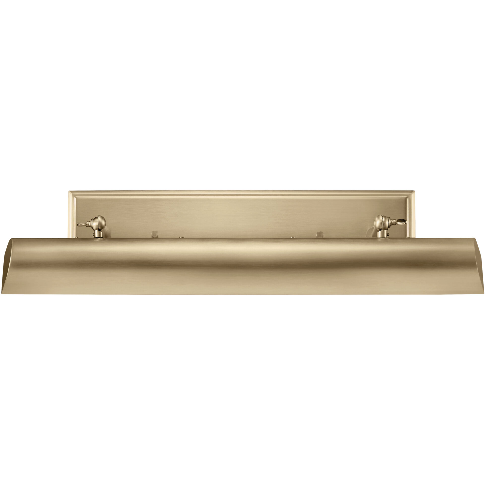 Carston 26 watt 24.25 inch Champagne Bronze Picture Light Wall Light