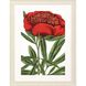 Florals Collection Red Framed Art