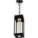 Rochester LED 5.3 inch Black Outdoor Hanging Light