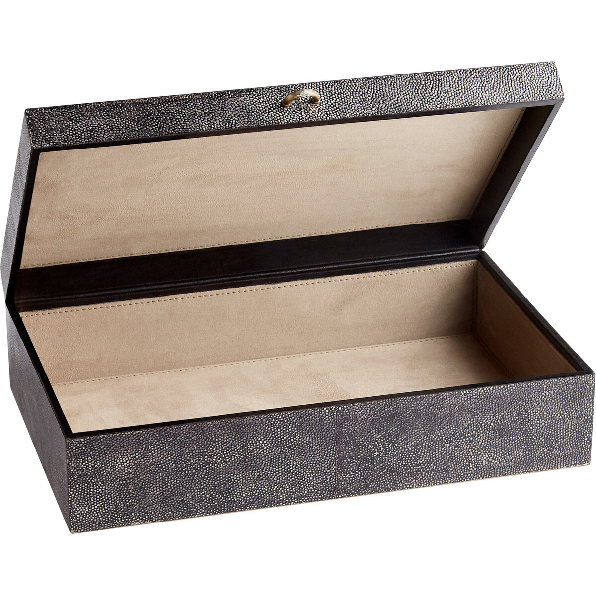 Puma Black And Bronze Container