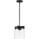Scoop 1 Light 8 inch Black Single Pendant Ceiling Light in Clear