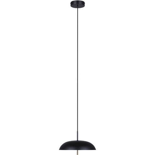 Kelvin LED 15.63 inch Black/Gold Pendant Ceiling Light in Black And Gold