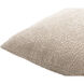 Eesha 22 X 22 inch Light Gray Accent Pillow