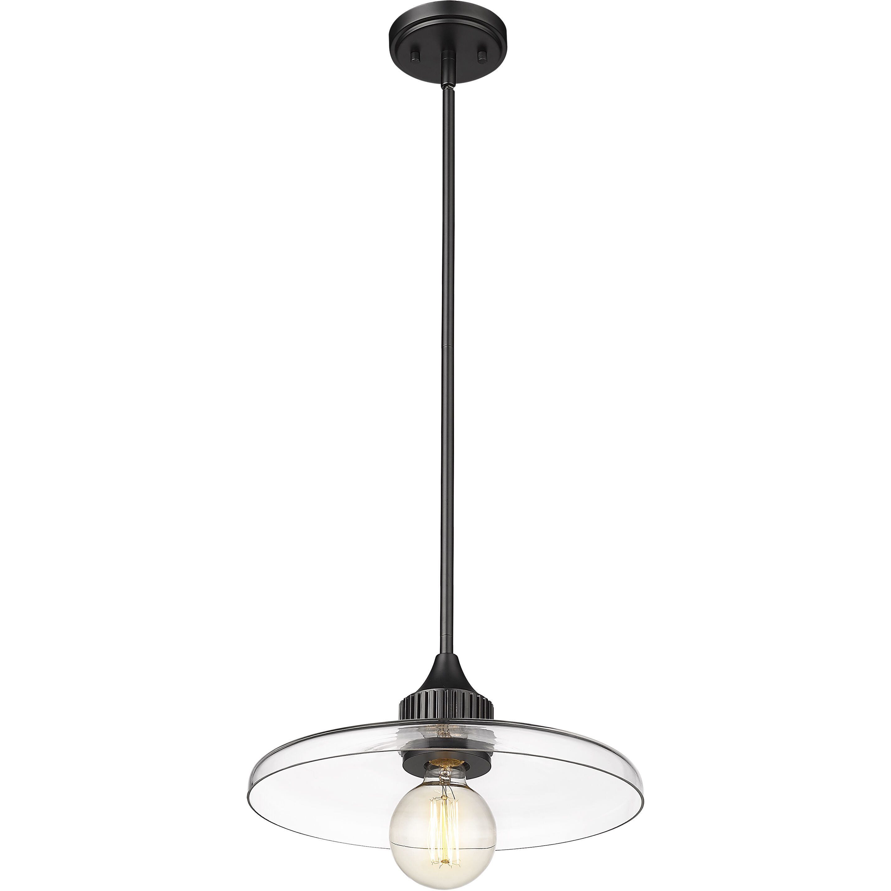 Paloma 1 Light 14 inch Matte Black Pendant Ceiling Light