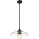 Paloma 1 Light 14 inch Matte Black Pendant Ceiling Light