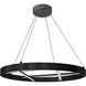 Dante LED 24 inch Matte Black Chandelier Ceiling Light
