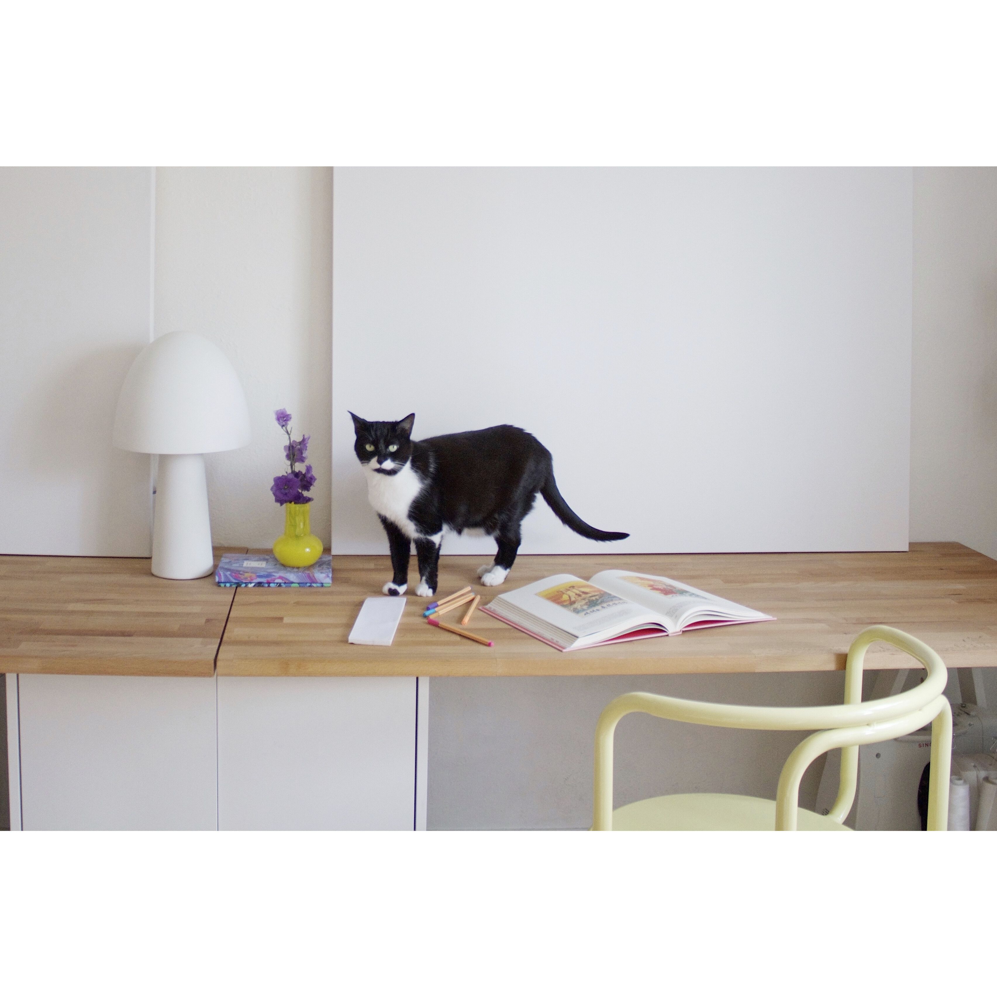 Vicky 17 inch 60.00 watt Soft White Table Lamp Portable Light