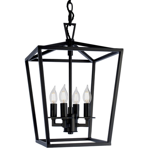Cage 4 Light 12 inch Matte Black Pendant Ceiling Light, Small