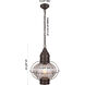 Ellington 1 Light 11.75 inch Bronze Outdoor Pendant in Optic Glass, Brass Traditions by Innovations Lighting