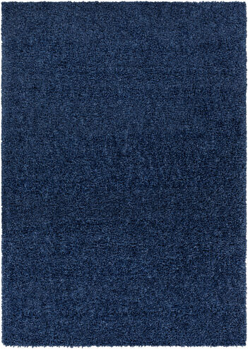 Deluxe Shag 36 X 24 inch Charcoal Rug, Rectangle