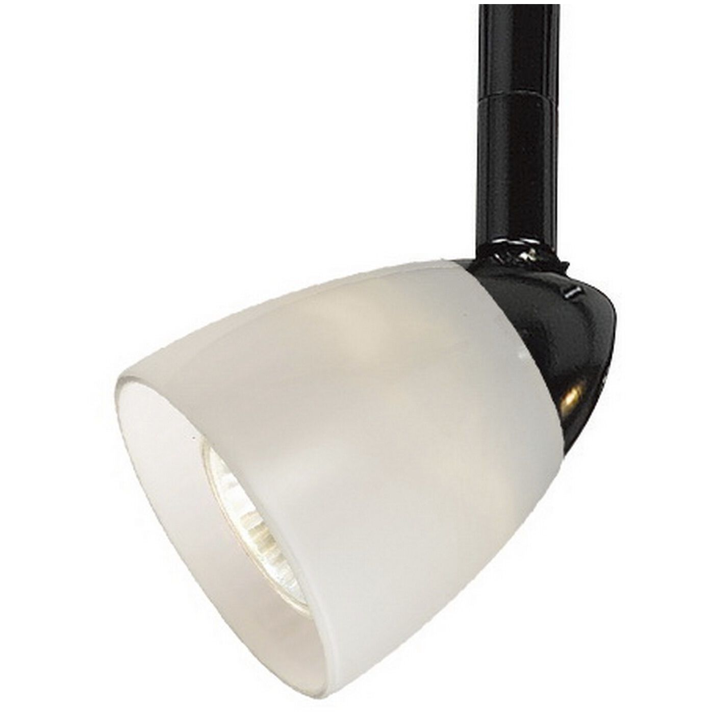 Serpentine 1 Light 120V Black Track Head Ceiling Light