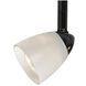 Serpentine 1 Light 120V Black Track Head Ceiling Light