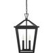Frankford 2 Light 12 inch Black Outdoor Pendant