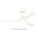 Rozzen 44 inch Matte White Indoor/Outdoor Ceiling Fan