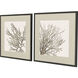 Naturals Brown and Beige Framed Art