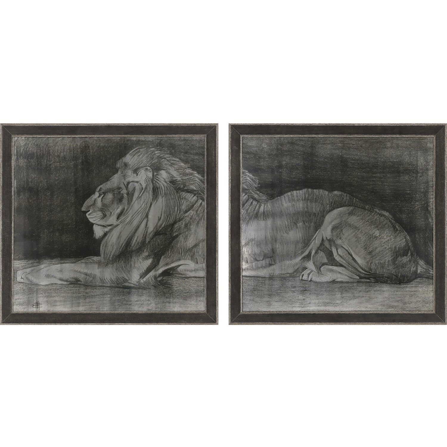 Lion Black and Gray and Metallic and Neutral Framed Art, The Studio