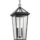 Regence 2 Light 11.5 inch Black Textured Outdoor Hanging Pendant