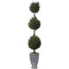 Cypress Triple Topiary