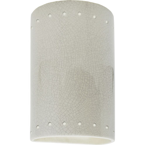 Ambiance Cylinder LED 10 inch White Crackle Outdoor Wall Sconce in 1000 Lm LED, Small