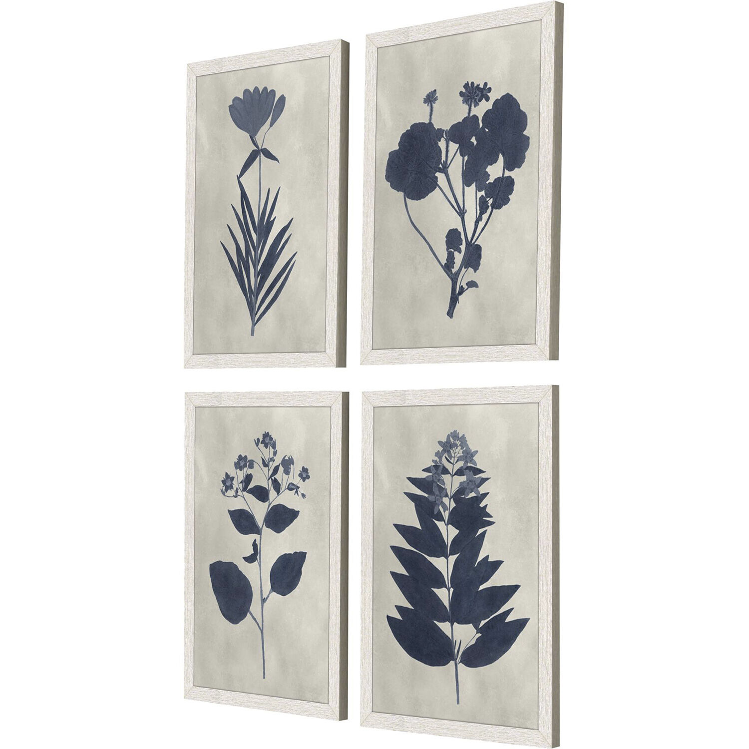 Pressed Flower Blue and White Framed Art, Propac