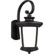 Eddington 1 Light 19.88 inch Black Outdoor Wall Lantern, Large