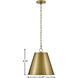 Blake LED 14 inch Lacquered Brass Pendant Ceiling Light